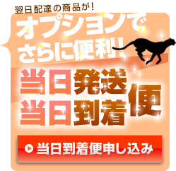 翌日配達の商品が！オプションでさらに便利！ 当日発送 当日到着 便